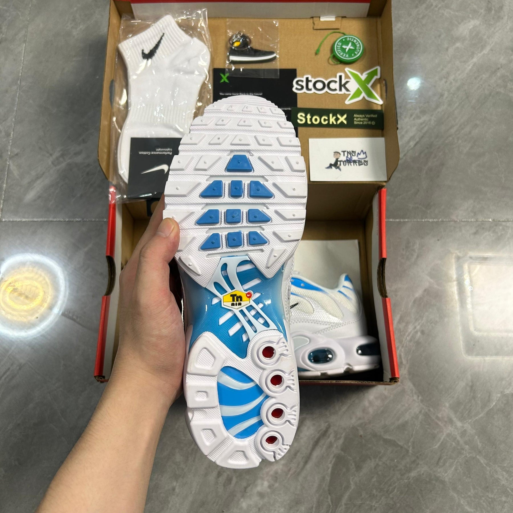 Air Max Plus TN 1 “Blue Flury”
