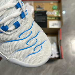 Air Max Plus TN 1 “Blue Flury”