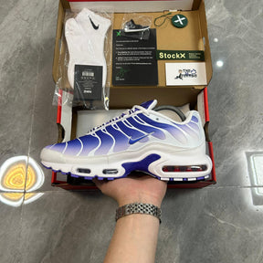 Air Max TN Plus "Purple Dragon"