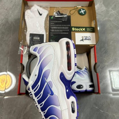 Air Max TN Plus "Purple Dragon"