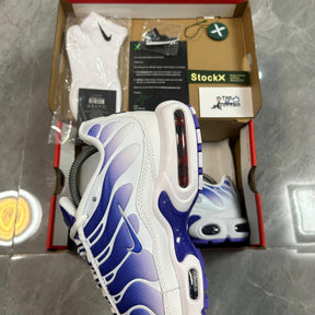 Air Max TN Plus "Purple Dragon"