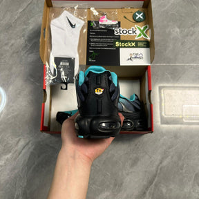 Air Max Plus Tn 1 “Tiffany”