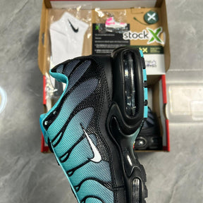 Air Max Plus Tn 1 “Tiffany”