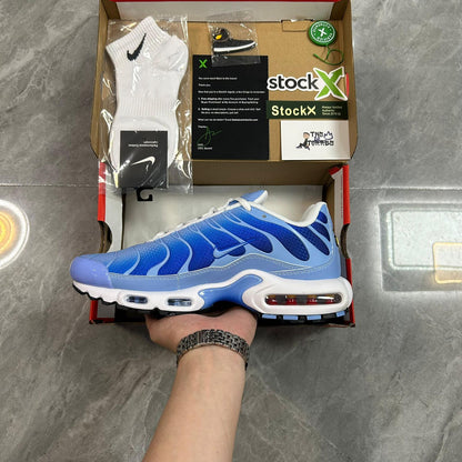 Air Max Plus Tn 1 “Royal Pulse”