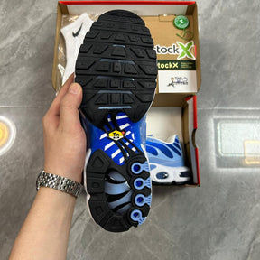 Air Max Plus Tn 1 “Royal Pulse”