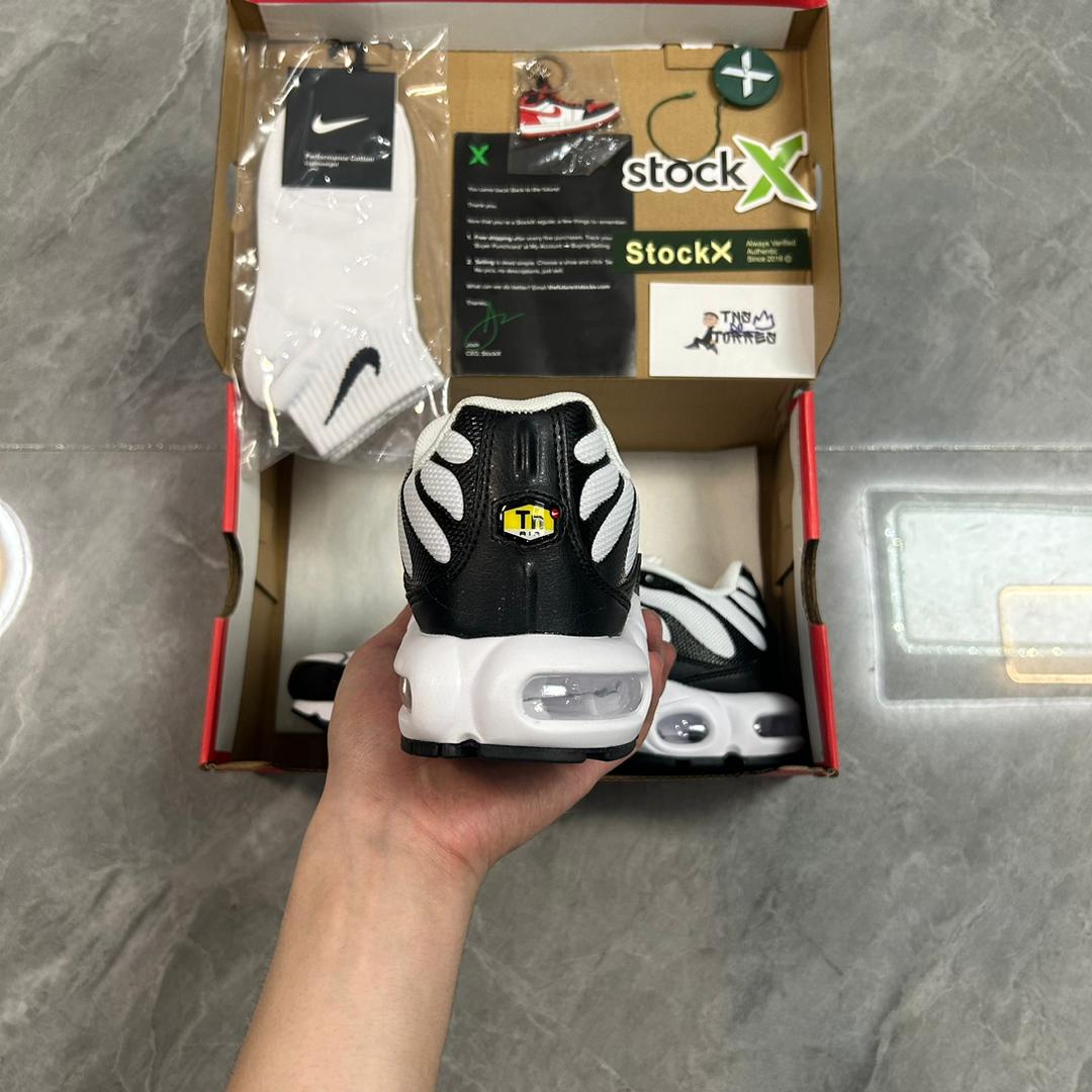 Air Max Plus TN 1 “Panda”