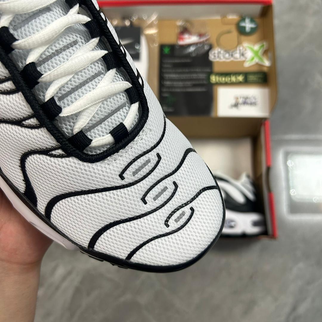 Air Max Plus TN 1 “Panda”