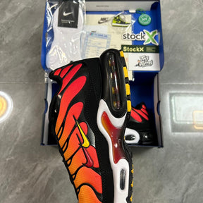 Air Max TN1 FC Barcelona